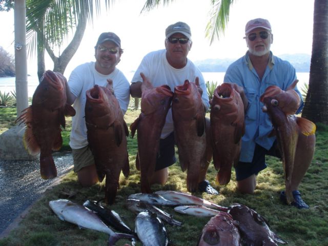 Fishing grouper in Panama